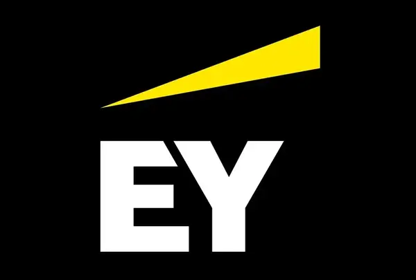 ey-company